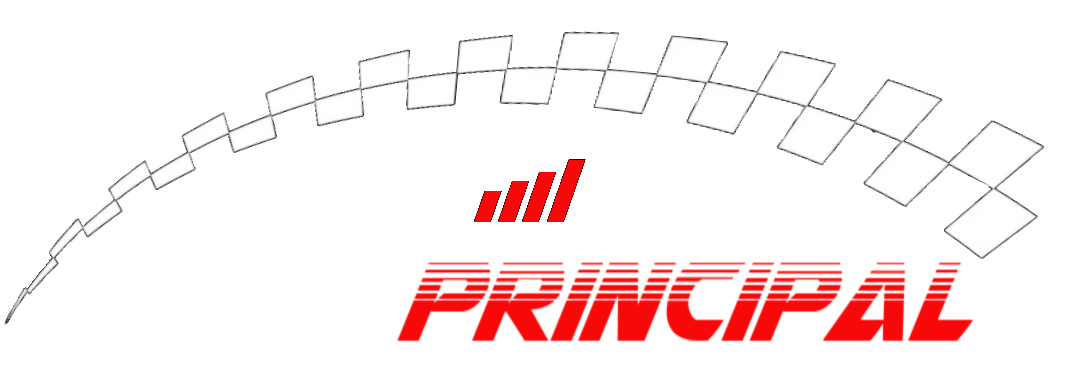 Team Principal